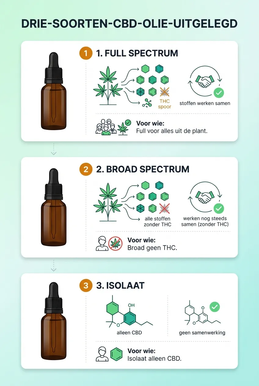 Infographic die de drie soorten CBD olie vergelijkt: Full Spectrum, Broad Spectrum en Isolaat